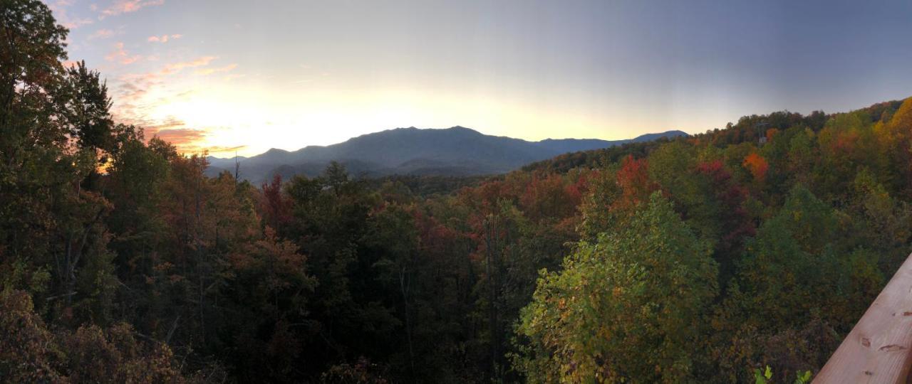 Heavenly View - Bear Themed Cabin, Hottub, Dog-Friendly, Near Gatlinburg Bagian luar foto