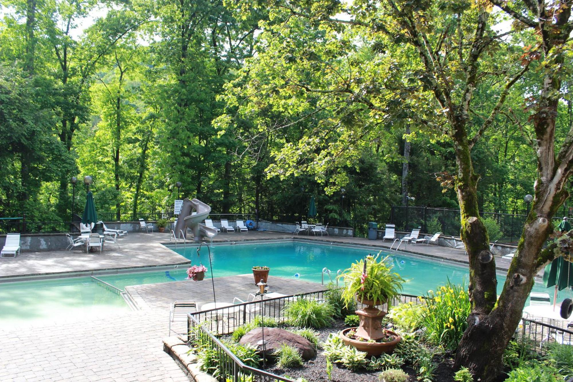 Heavenly View - Bear Themed Cabin, Hottub, Dog-Friendly, Near Gatlinburg Bagian luar foto