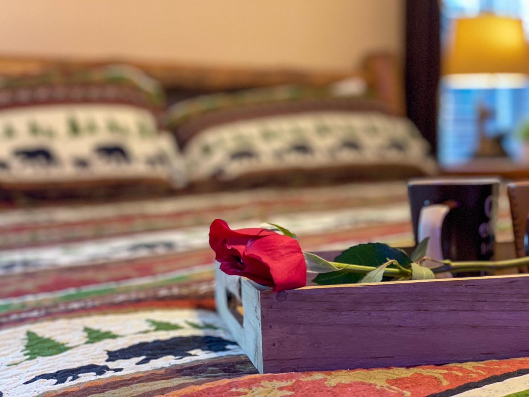 Heavenly View - Bear Themed Cabin, Hottub, Dog-Friendly, Near Gatlinburg Bagian luar foto