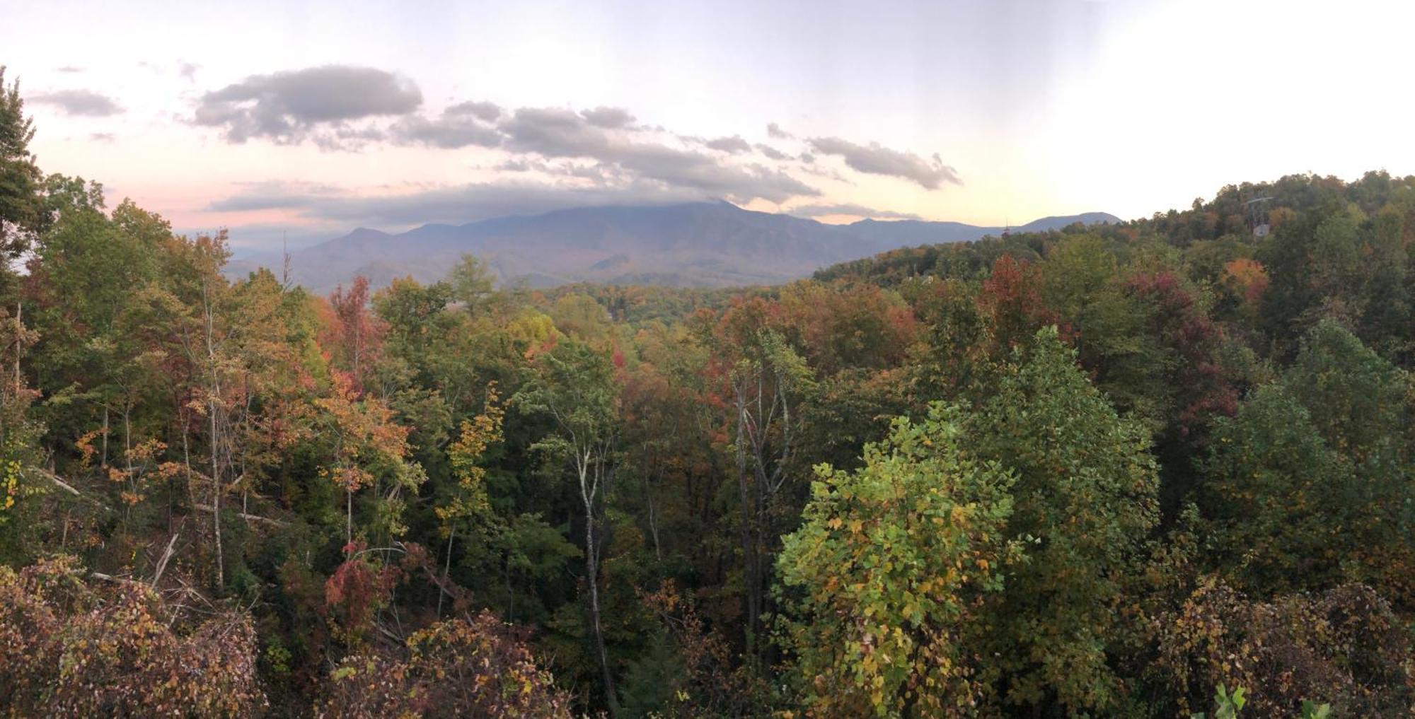 Heavenly View - Bear Themed Cabin, Hottub, Dog-Friendly, Near Gatlinburg Bagian luar foto