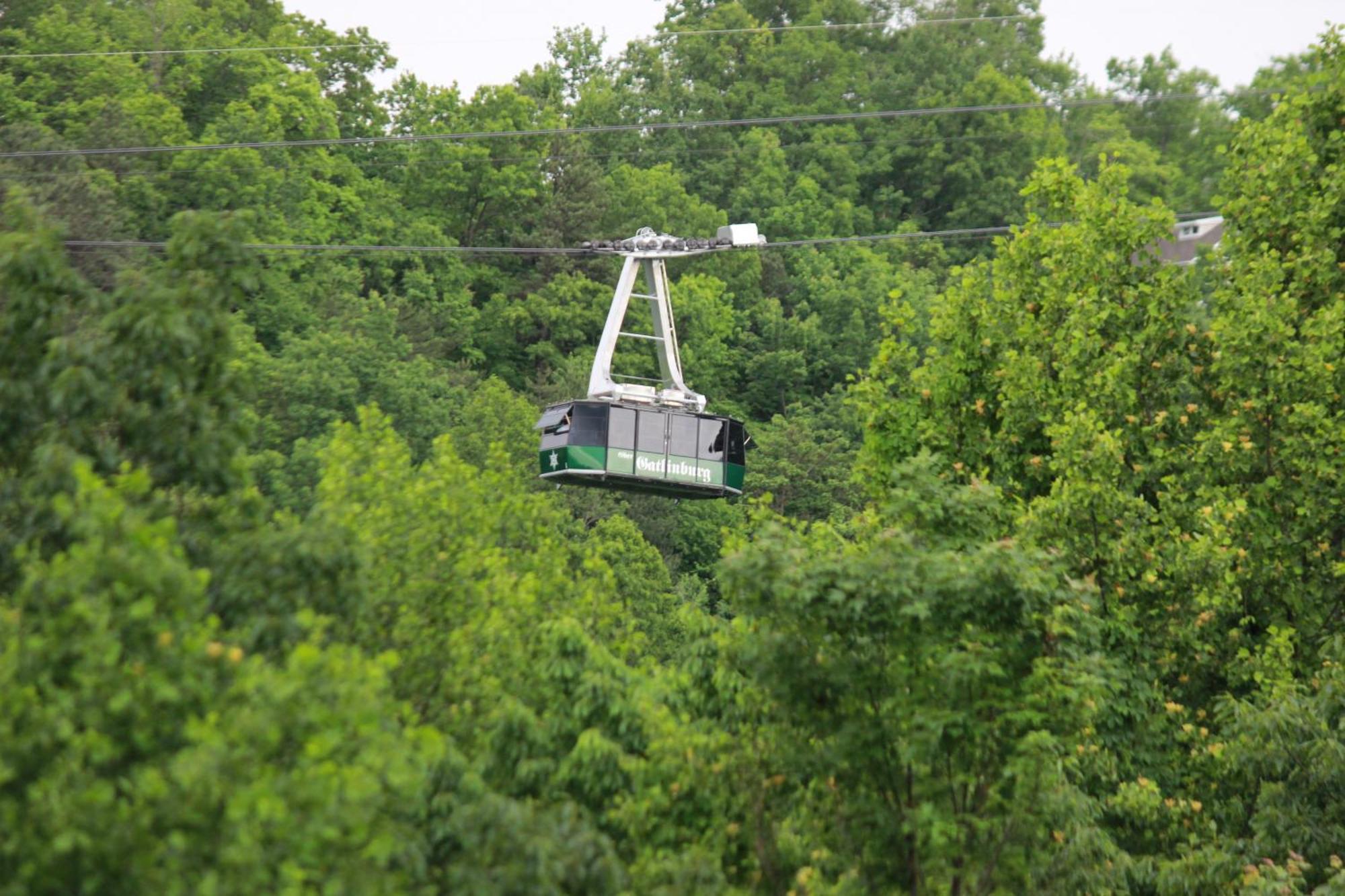 Heavenly View - Bear Themed Cabin, Hottub, Dog-Friendly, Near Gatlinburg Bagian luar foto